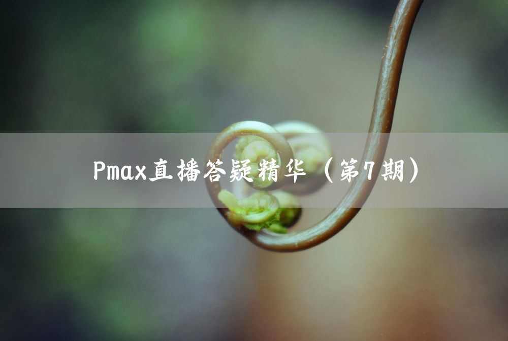 Pmax直播答疑精华（第7期）