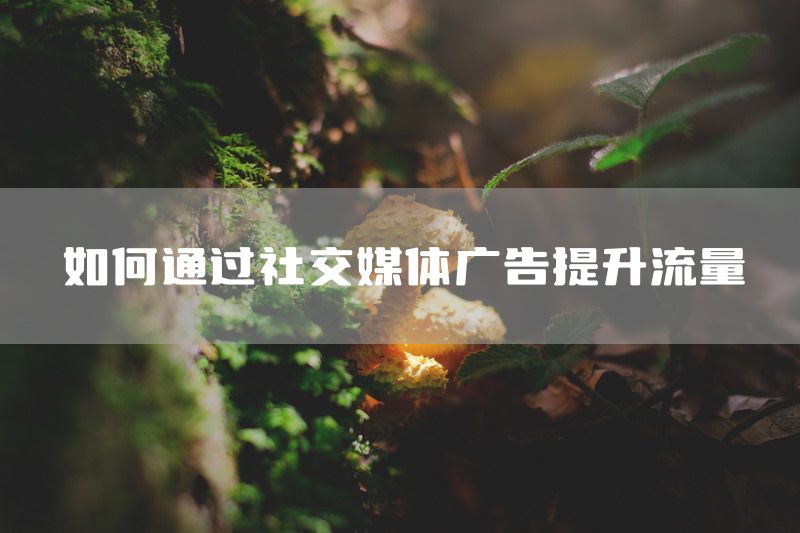 如何通过社交媒体广告提升流量