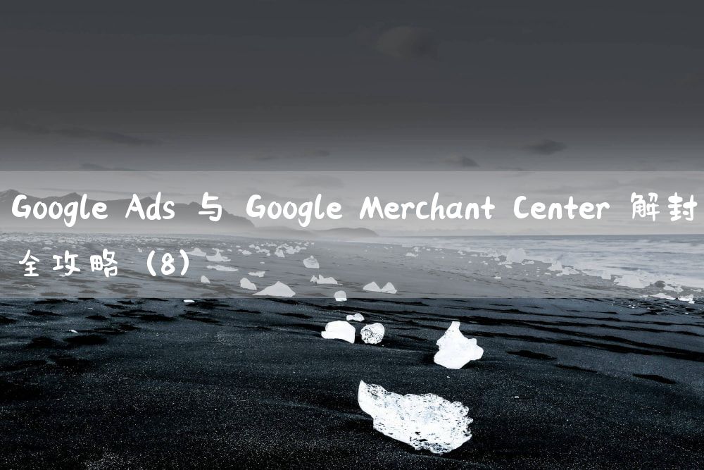 Google Ads 与 Google Merchant Center 解封全攻略（8）