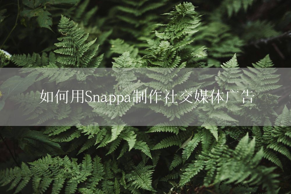 如何用Snappa制作社交媒体广告