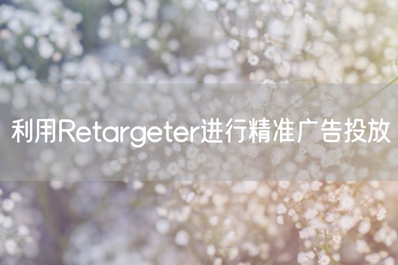 利用Retargeter进行精准广告投放