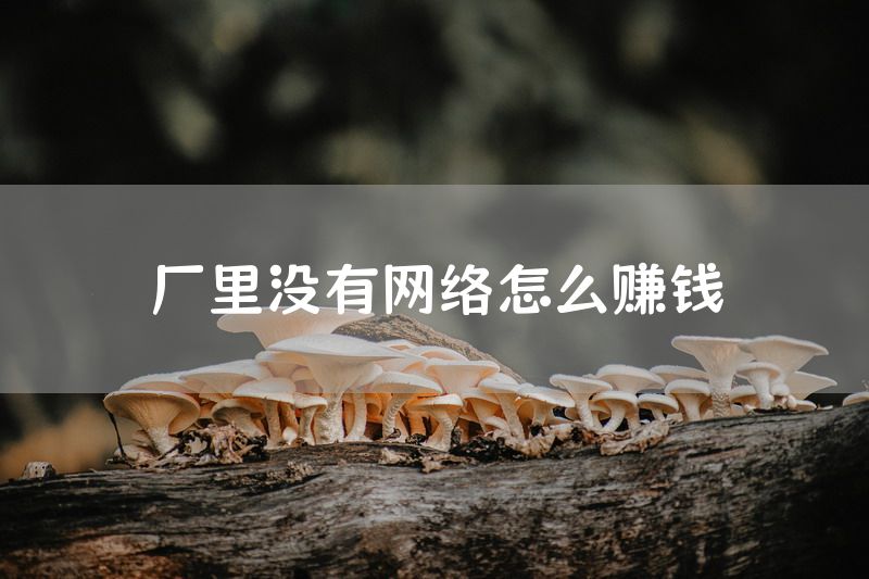 厂里没有网络怎么赚钱