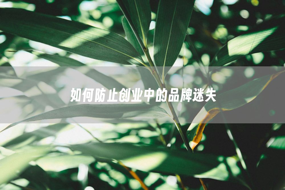 如何防止创业中的品牌迷失