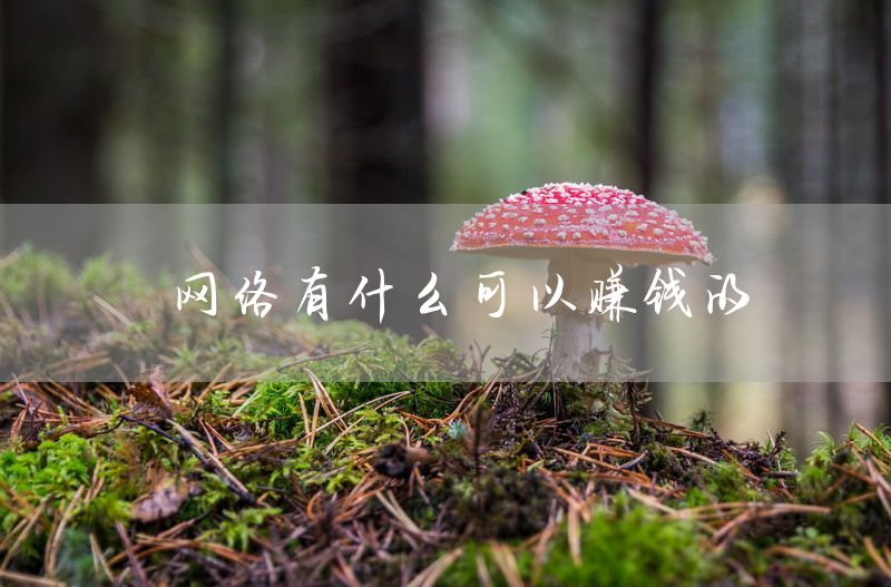 网络有什么可以赚钱的