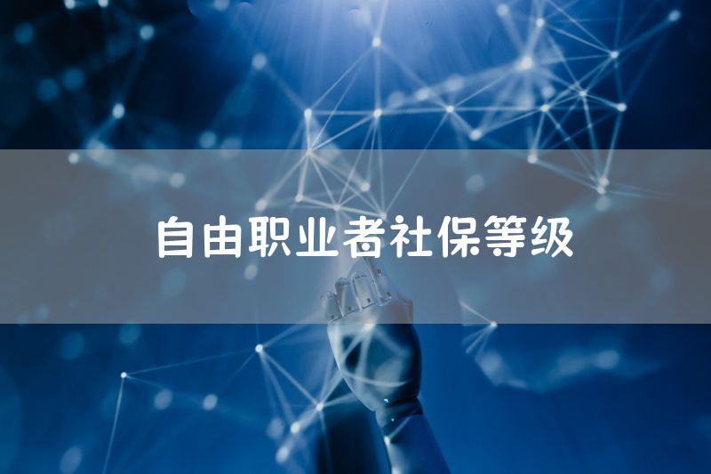 自由职业者社保等级