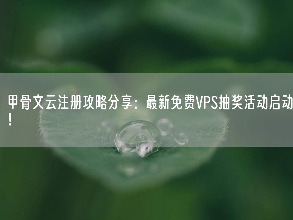 甲骨文云注册攻略分享：最新免费VPS抽奖活动启动！