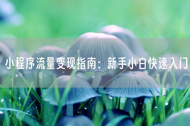 小程序流量变现指南：新手小白快速入门