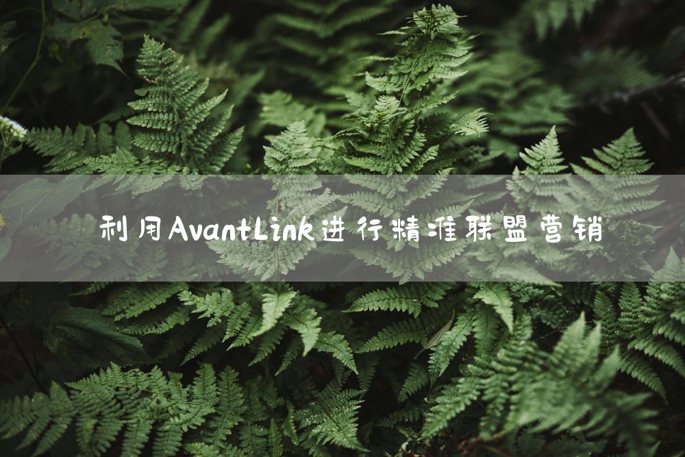 利用AvantLink进行精准联盟营销