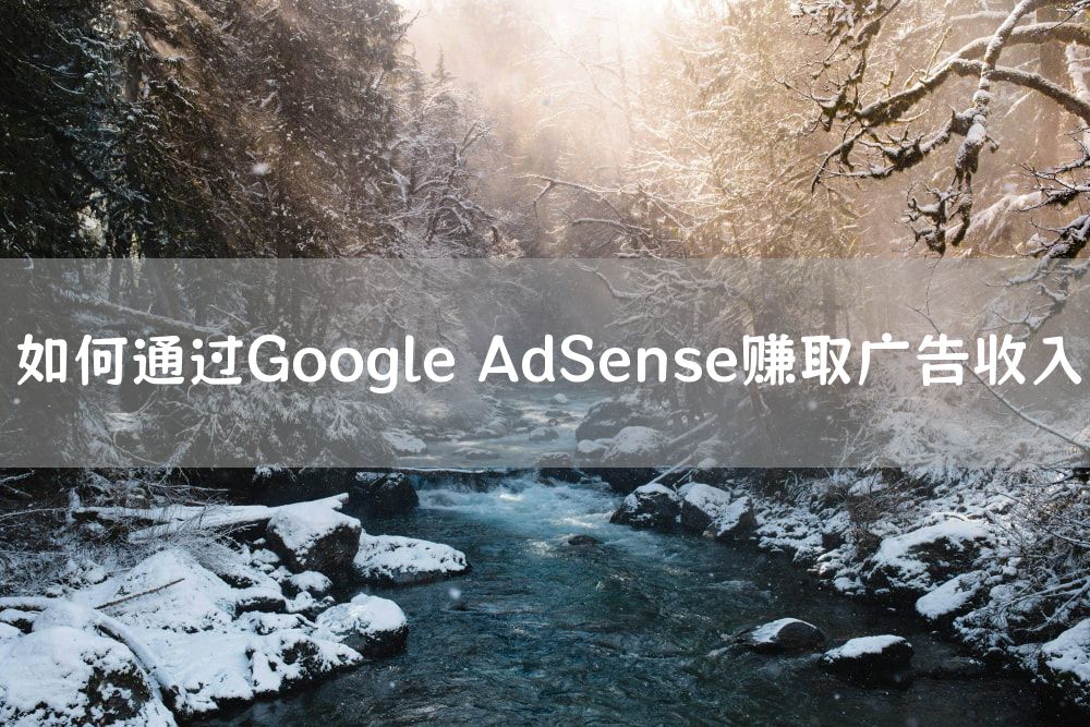 如何通过Google AdSense赚取广告收入