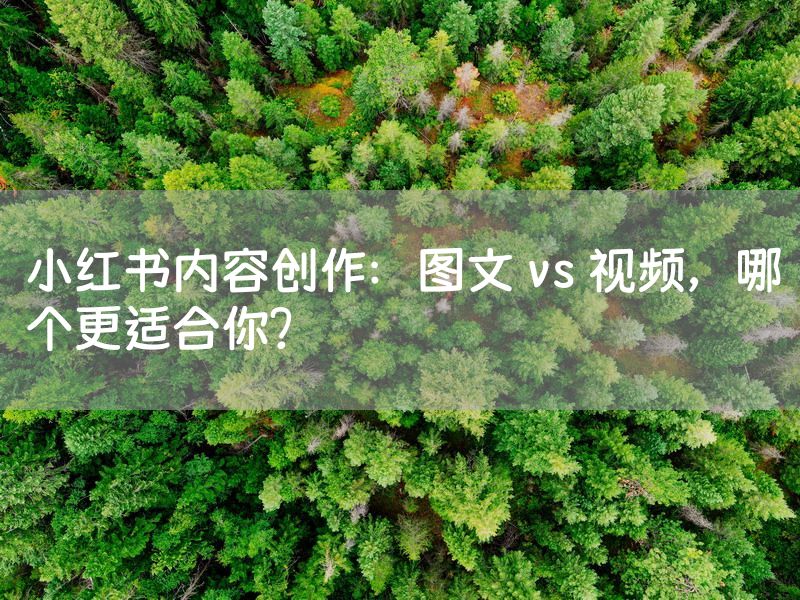 小红书内容创作：图文 vs 视频，哪个更适合你？