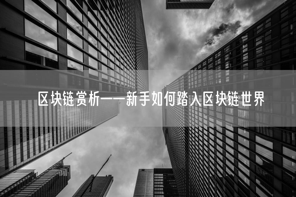 区块链赏析——新手如何踏入区块链世界