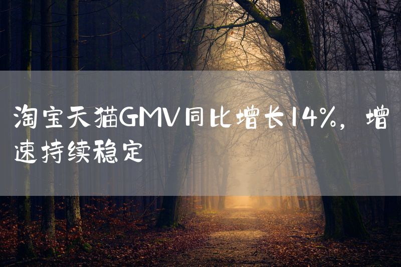 淘宝天猫GMV同比增长14%，增速持续稳定