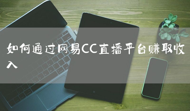 如何通过网易CC直播平台赚取收入