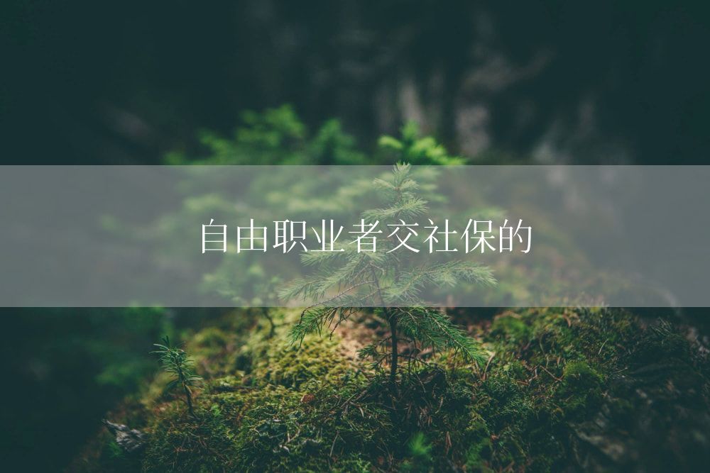 自由职业者交社保的