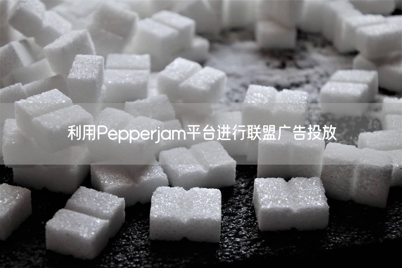 利用Pepperjam平台进行联盟广告投放