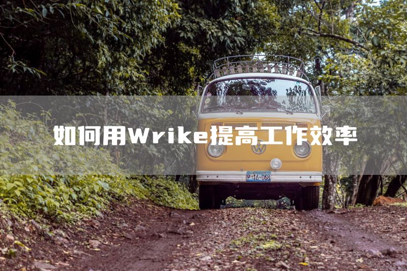 如何用Wrike提高工作效率