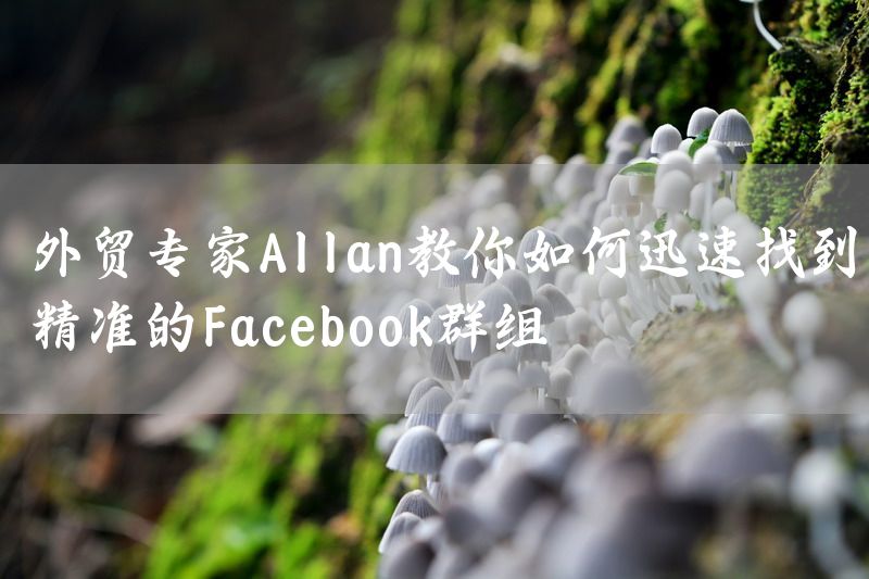 外贸专家Allan教你如何迅速找到精准的Facebook群组