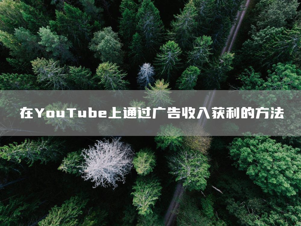 在YouTube上通过广告收入获利的方法