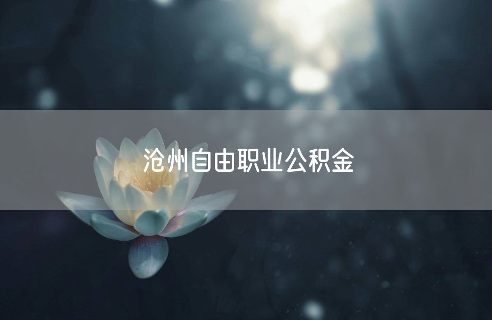 沧州自由职业公积金