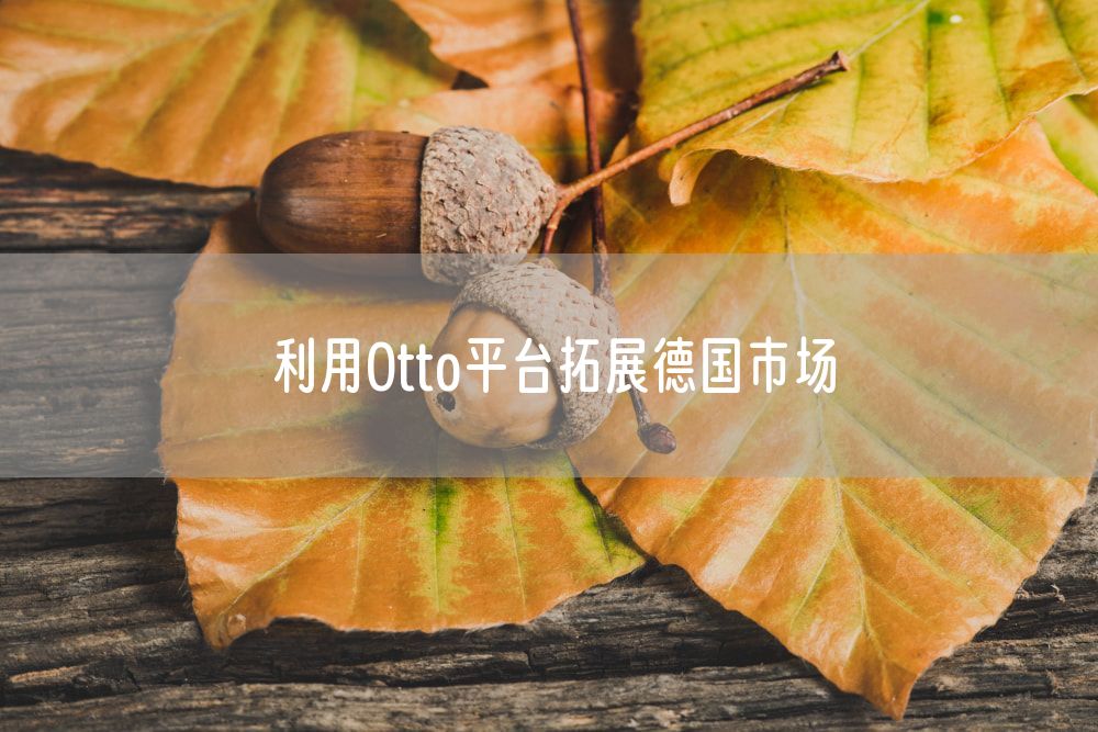 利用Otto平台拓展德国市场