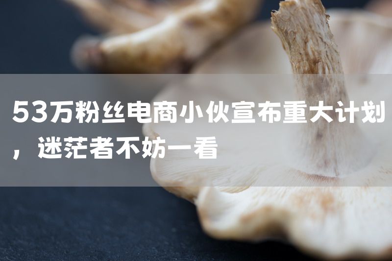 53万粉丝电商小伙宣布重大计划，迷茫者不妨一看