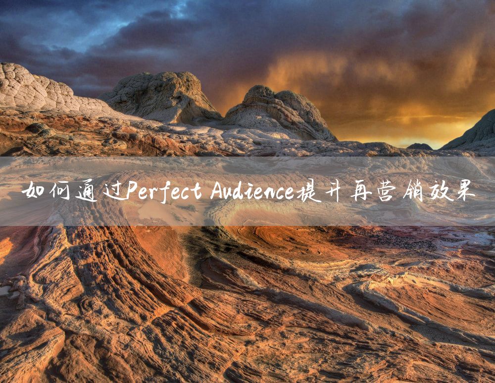 如何通过Perfect Audience提升再营销效果