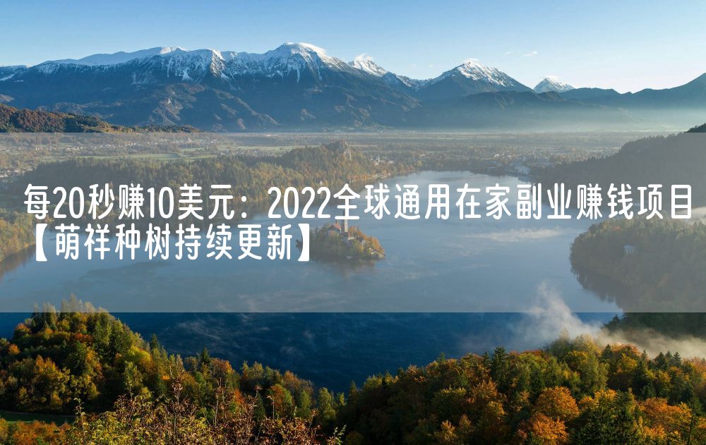 每20秒赚10美元：2022全球通用在家副业赚钱项目【萌祥种树持续更新】