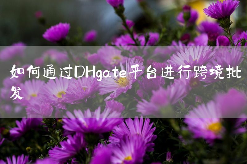 如何通过DHgate平台进行跨境批发