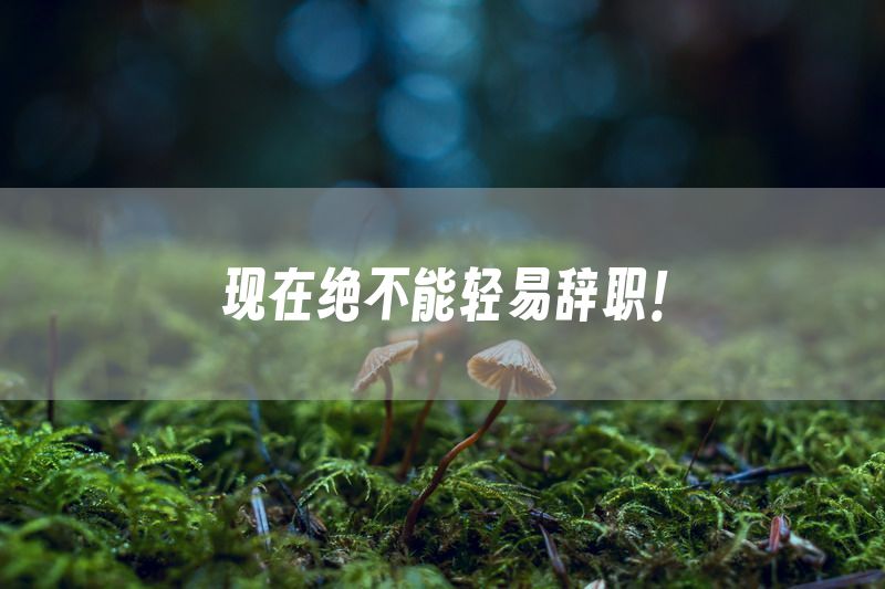 现在绝不能轻易辞职！