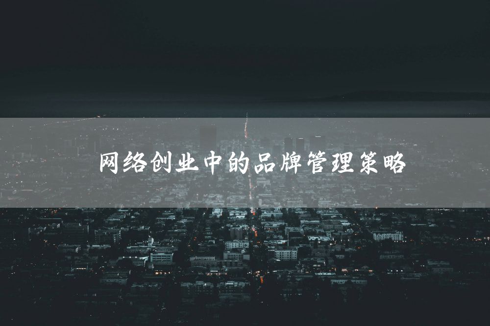 网络创业中的品牌管理策略