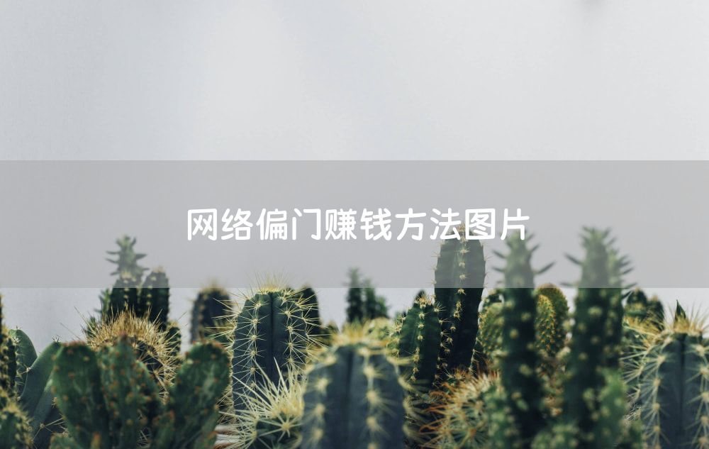 网络偏门赚钱方法图片