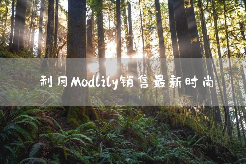 利用Modlily销售最新时尚