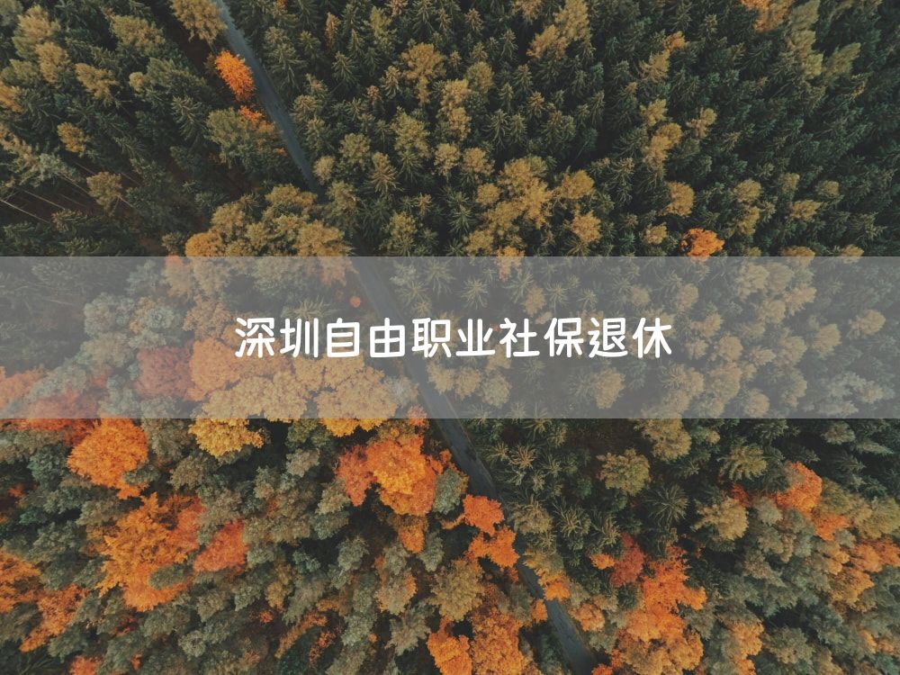 深圳自由职业社保退休