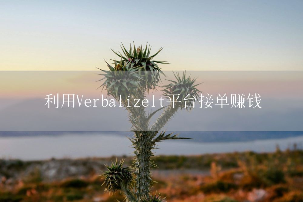 利用VerbalizeIt平台接单赚钱