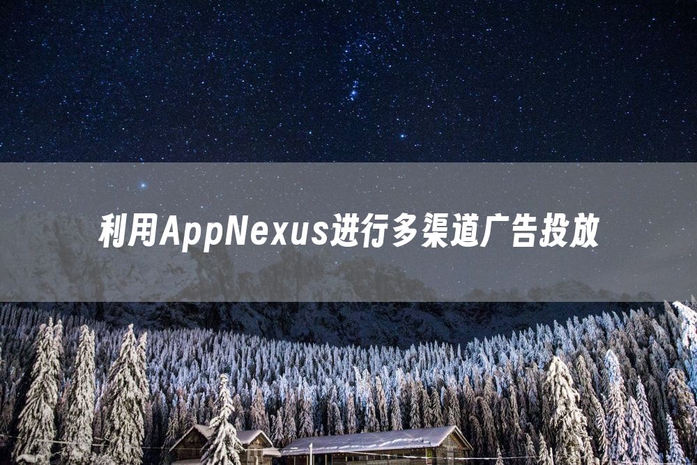 利用AppNexus进行多渠道广告投放