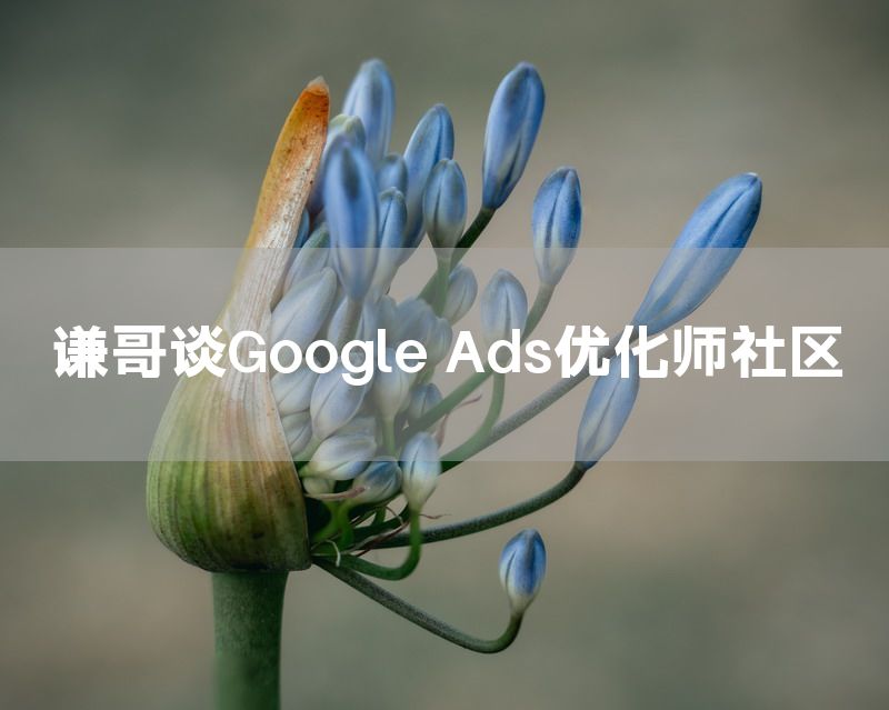 谦哥谈Google Ads优化师社区