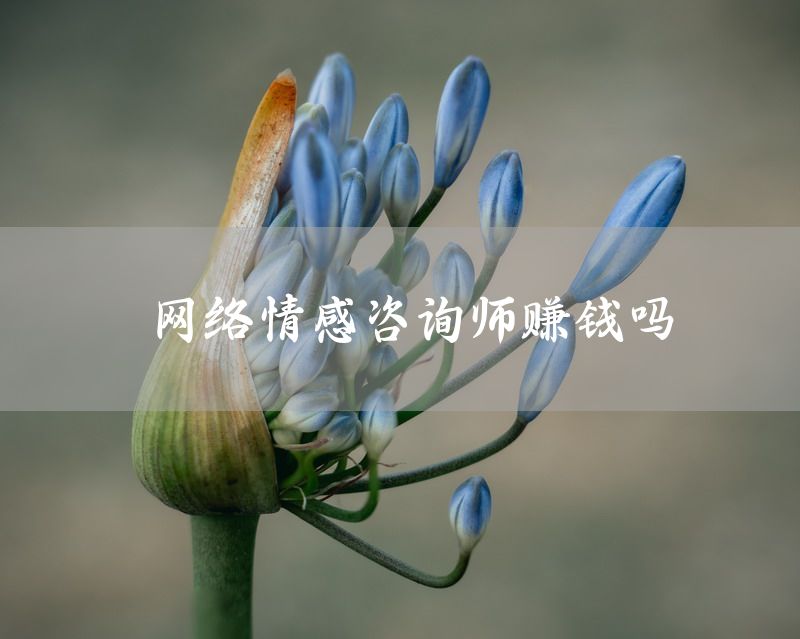 网络情感咨询师赚钱吗