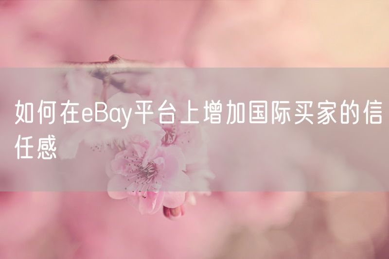 如何在eBay平台上增加国际买家的信任感