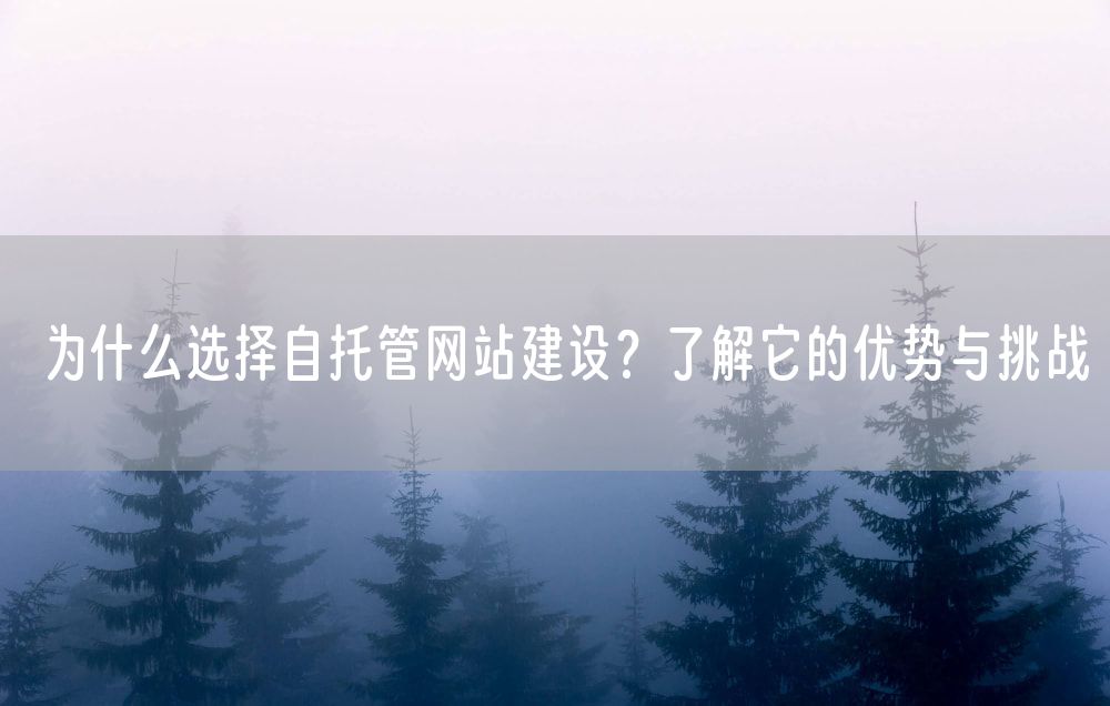 为什么选择自托管网站建设？了解它的优势与挑战