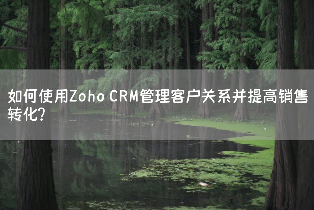 如何使用Zoho CRM管理客户关系并提高销售转化？