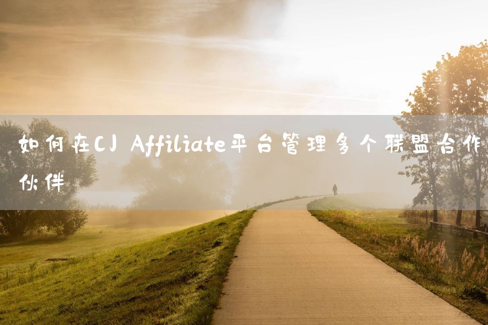 如何在CJ Affiliate平台管理多个联盟合作伙伴