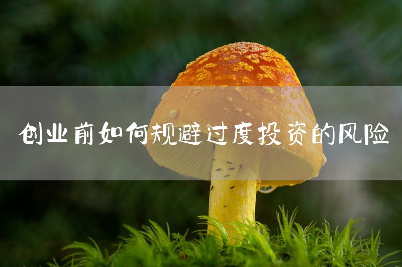 创业前如何规避过度投资的风险