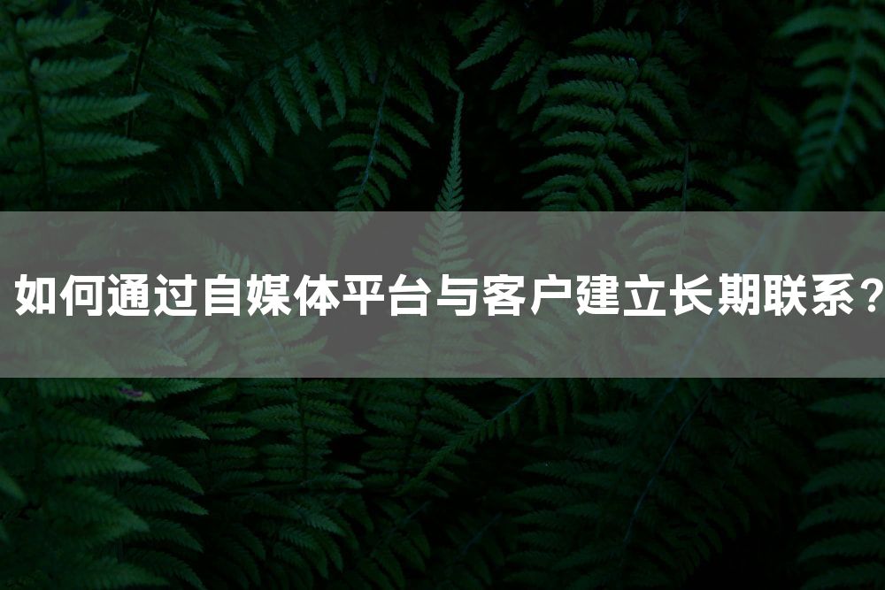 如何通过自媒体平台与客户建立长期联系？