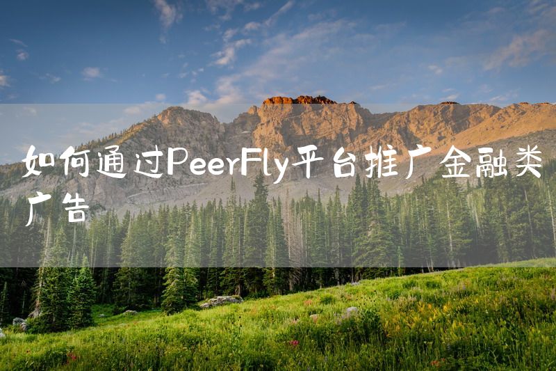 如何通过PeerFly平台推广金融类广告