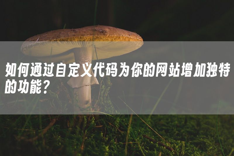 如何通过自定义代码为你的网站增加独特的功能？