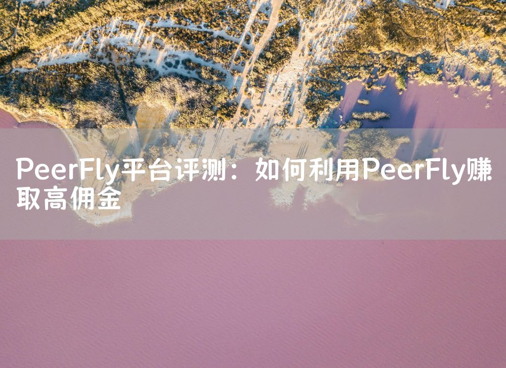 PeerFly平台评测：如何利用PeerFly赚取高佣金