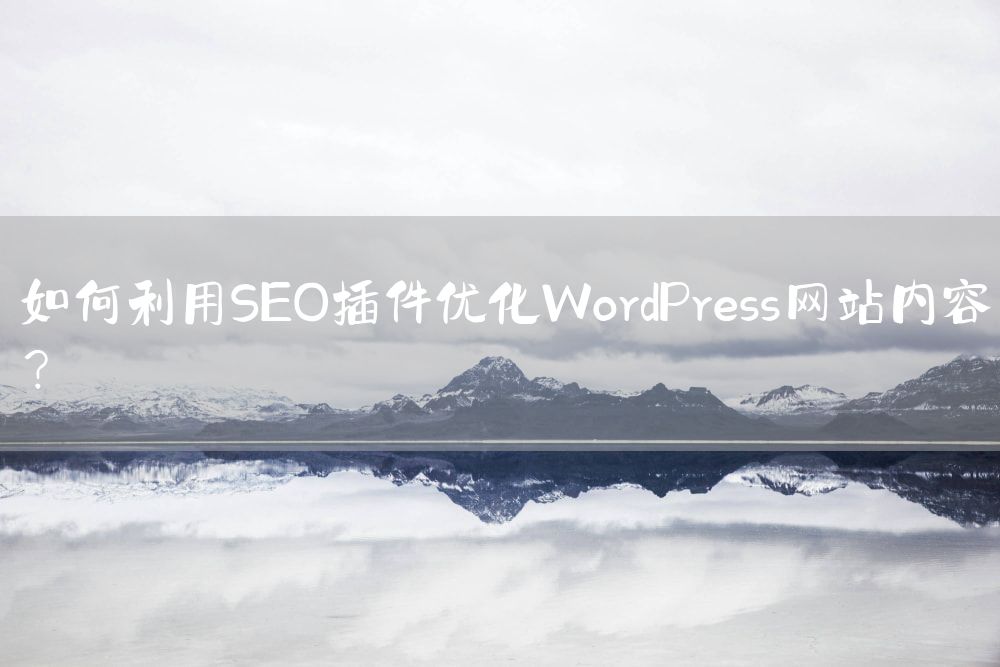 如何利用SEO插件优化WordPress网站内容？