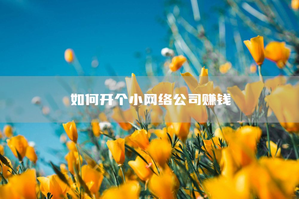 如何开个小网络公司赚钱