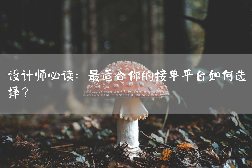 设计师必读：最适合你的接单平台如何选择？