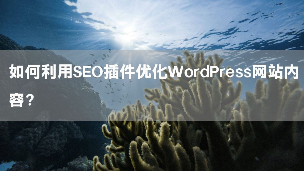 如何利用SEO插件优化WordPress网站内容？